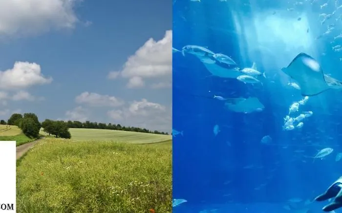 Studio-cosy Aparthotel